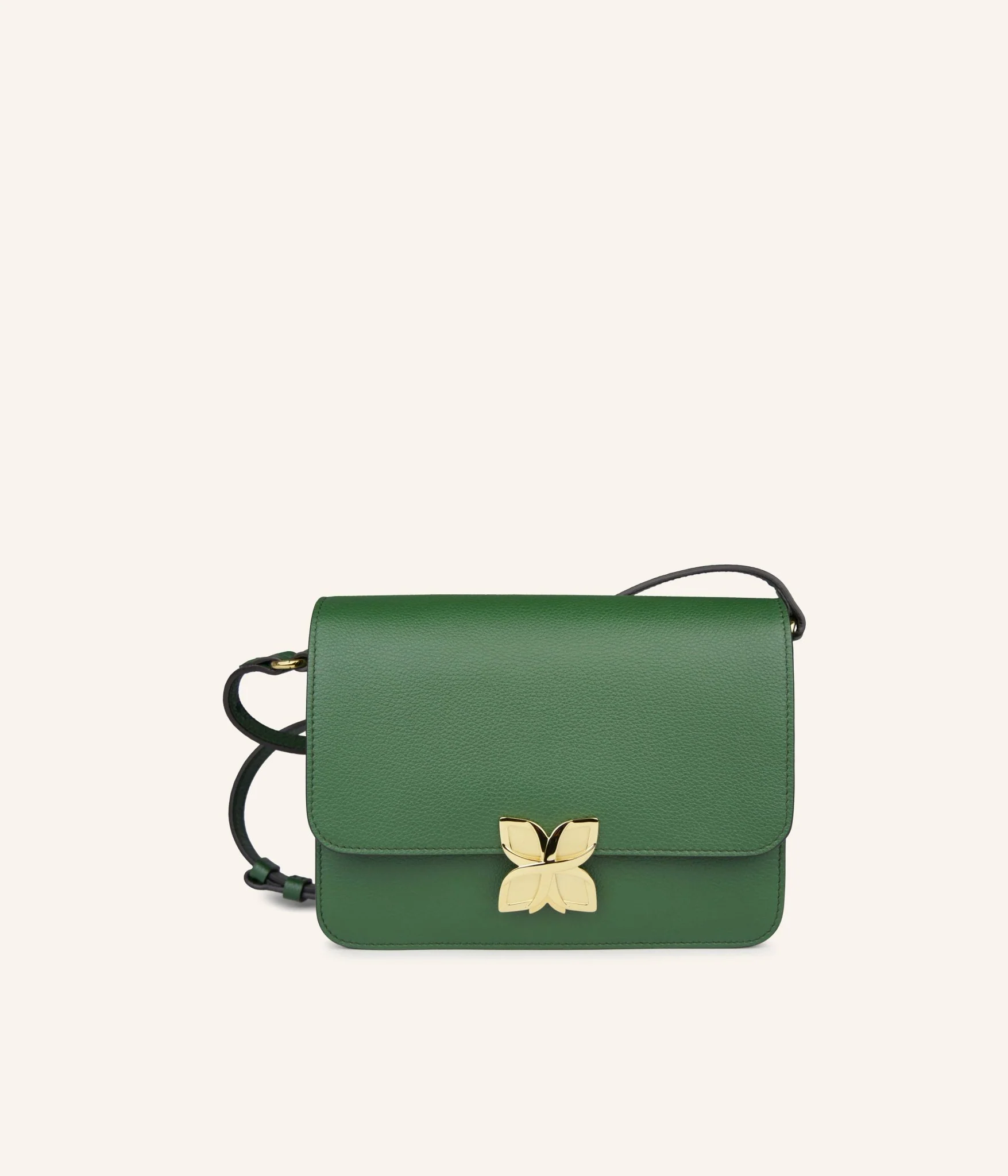 Hortensia | Vert Sapin