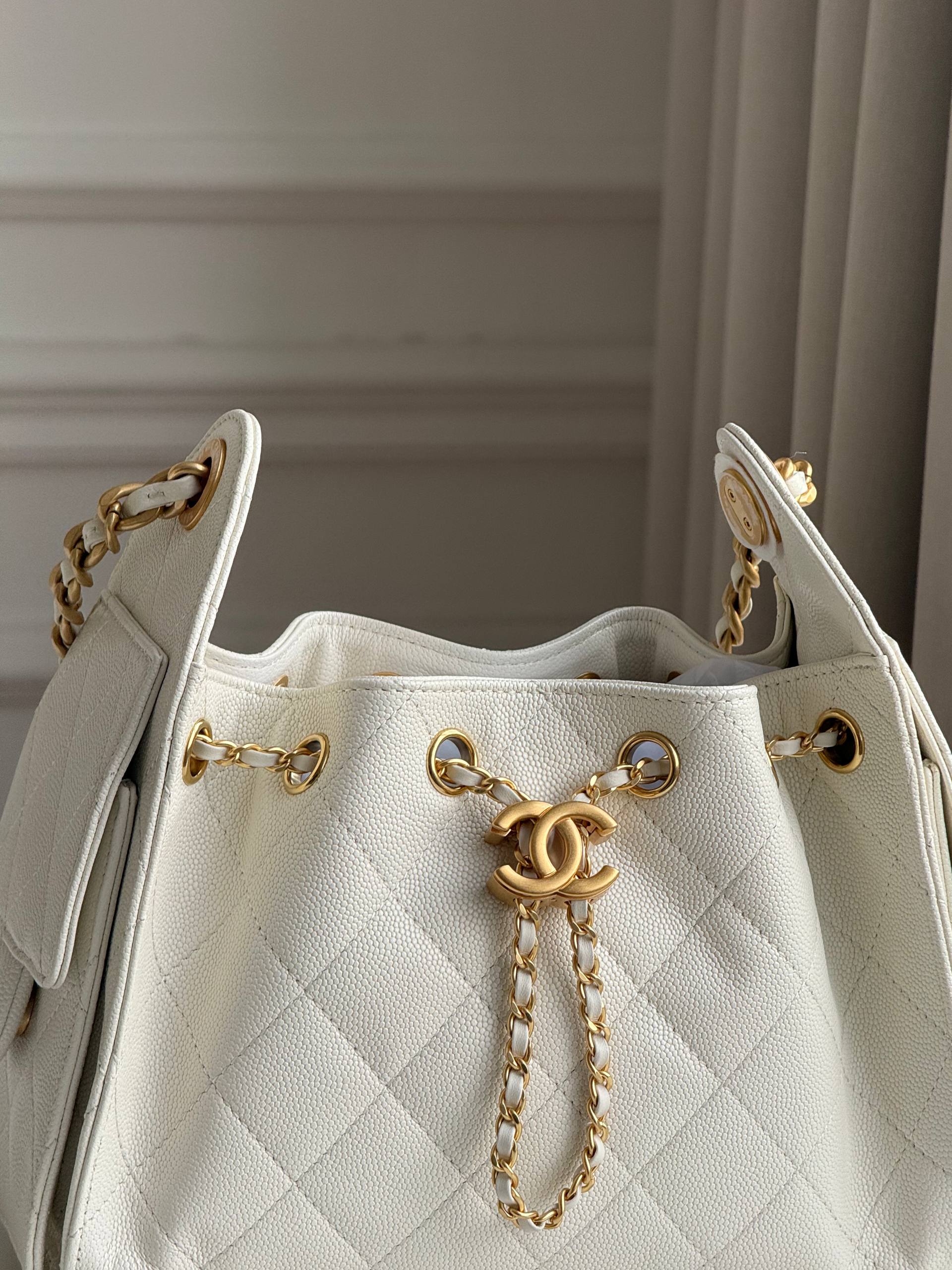 Chanel 25 Hobo Bag