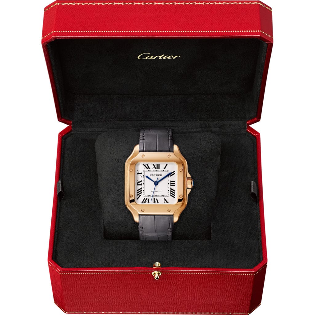 Santos de Cartier watch WGSA0028【1:1 Replica】