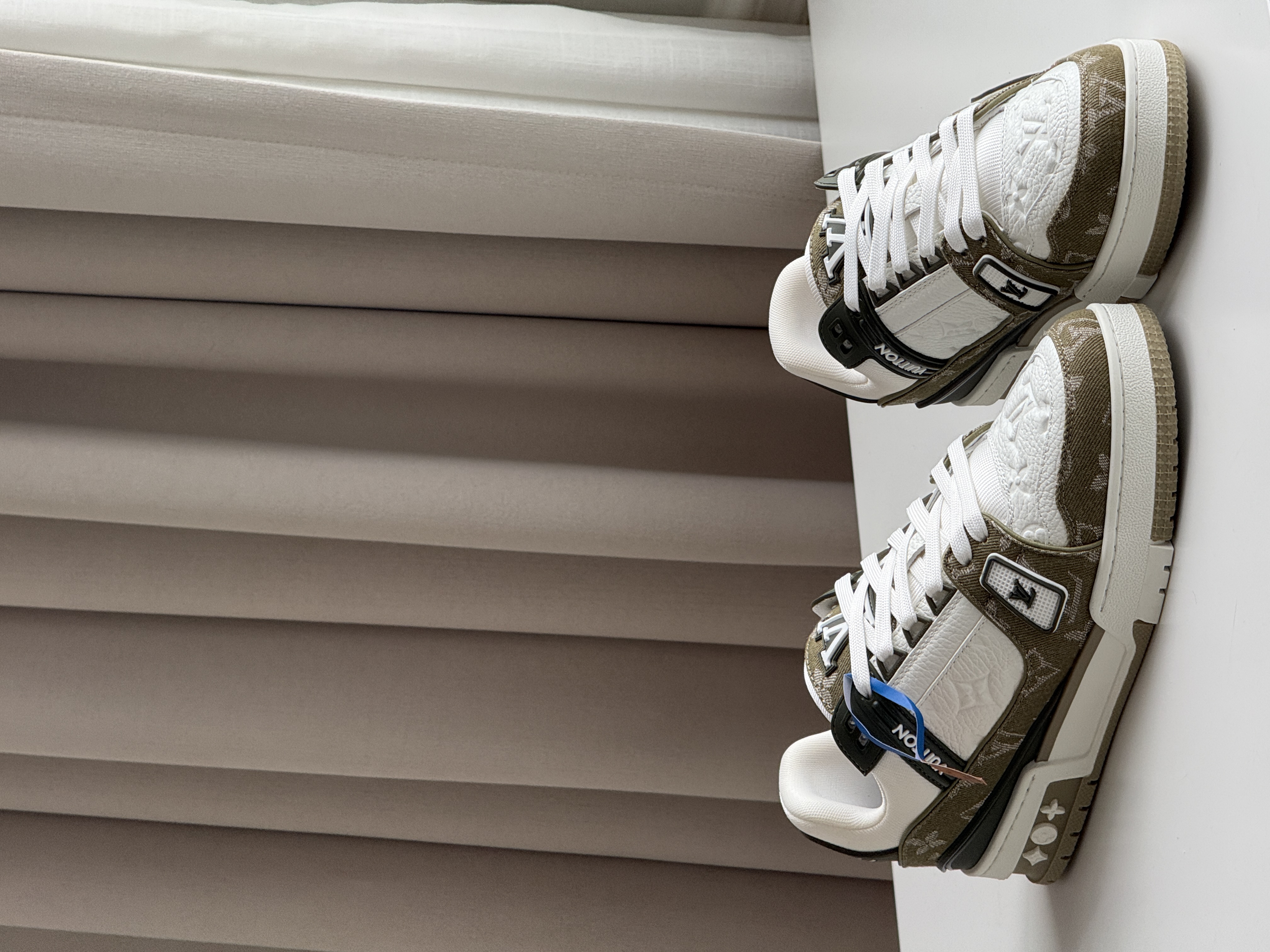Louis Vuitton LV Trainer Low-Top Sneakers