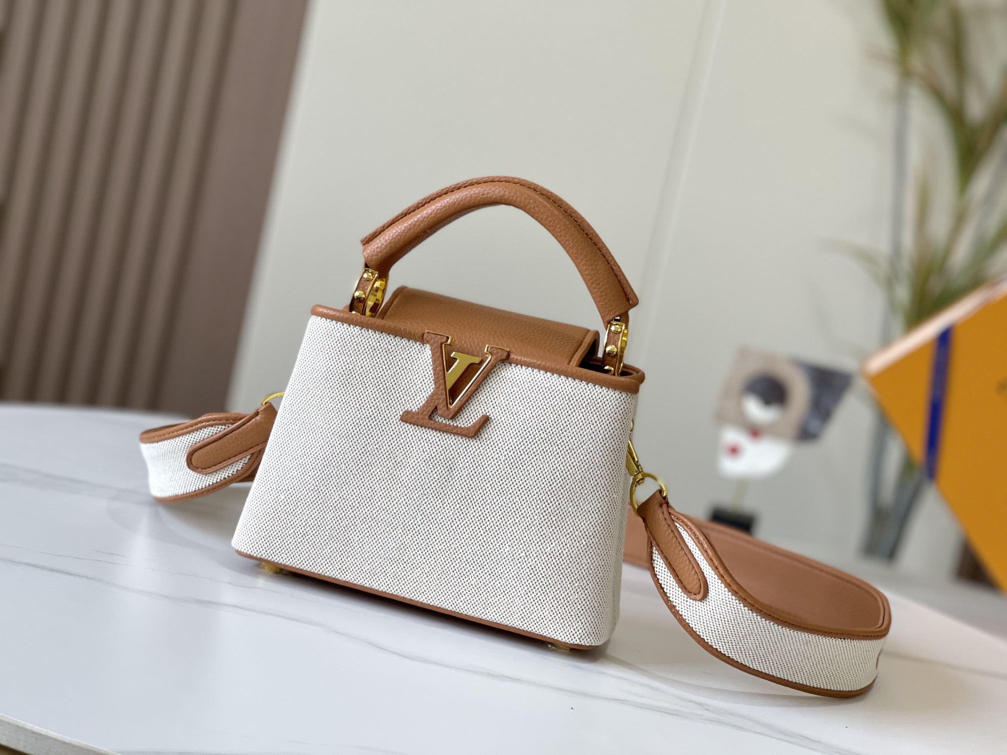 LV Capucines Handbag
