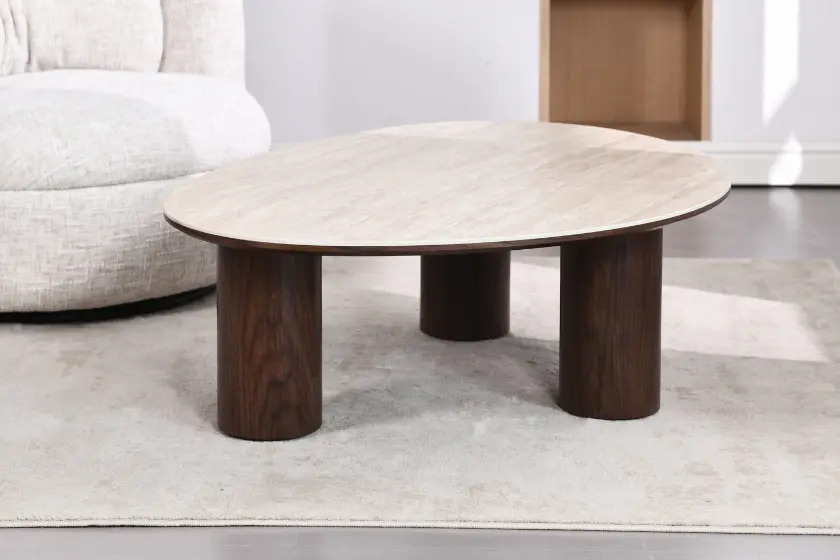 Table Basse de Salon DONA - 120 x 80 x 35 cm