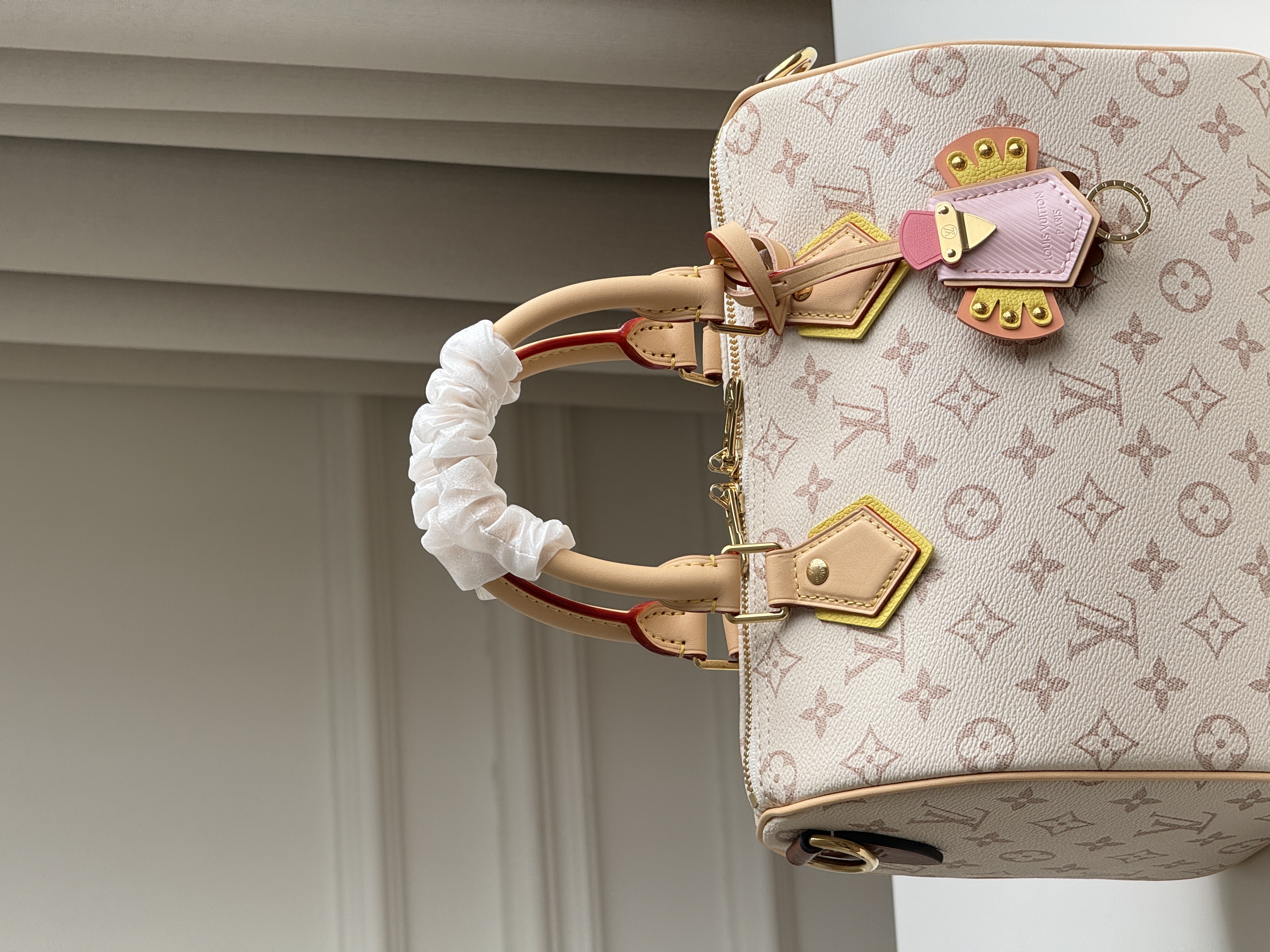 Louis Vuitton Speedy 25 Dune Monogram Pillow Bag