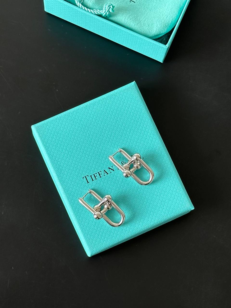 Tiffany & Co. HardWear Link Earrings in Sterling Silver