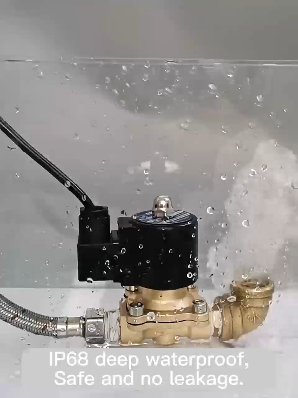 Acarps Underwater Fountain Solenoid Valve Brass Normally Closed IP68 Waterproof Grade DN10-DN50 Electric Solenoid Valve 12V 24V 220V