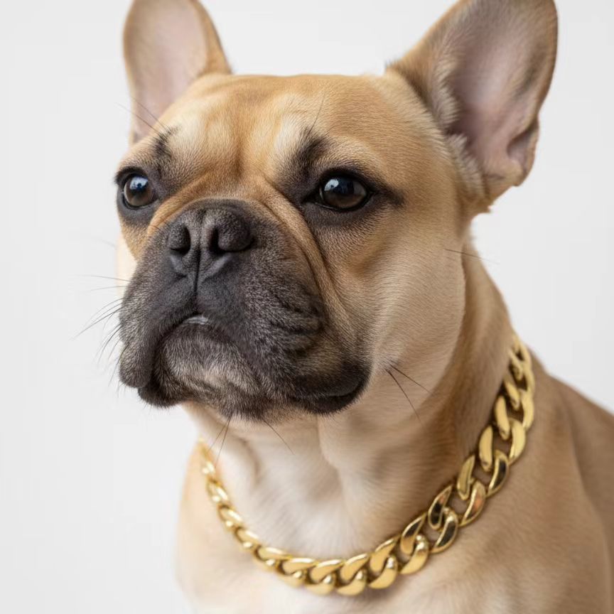 Handsome gold chain pet collar, lightweight design, no pressure on pet's neck, suitable for cats and dogs - MAISONKAIRON