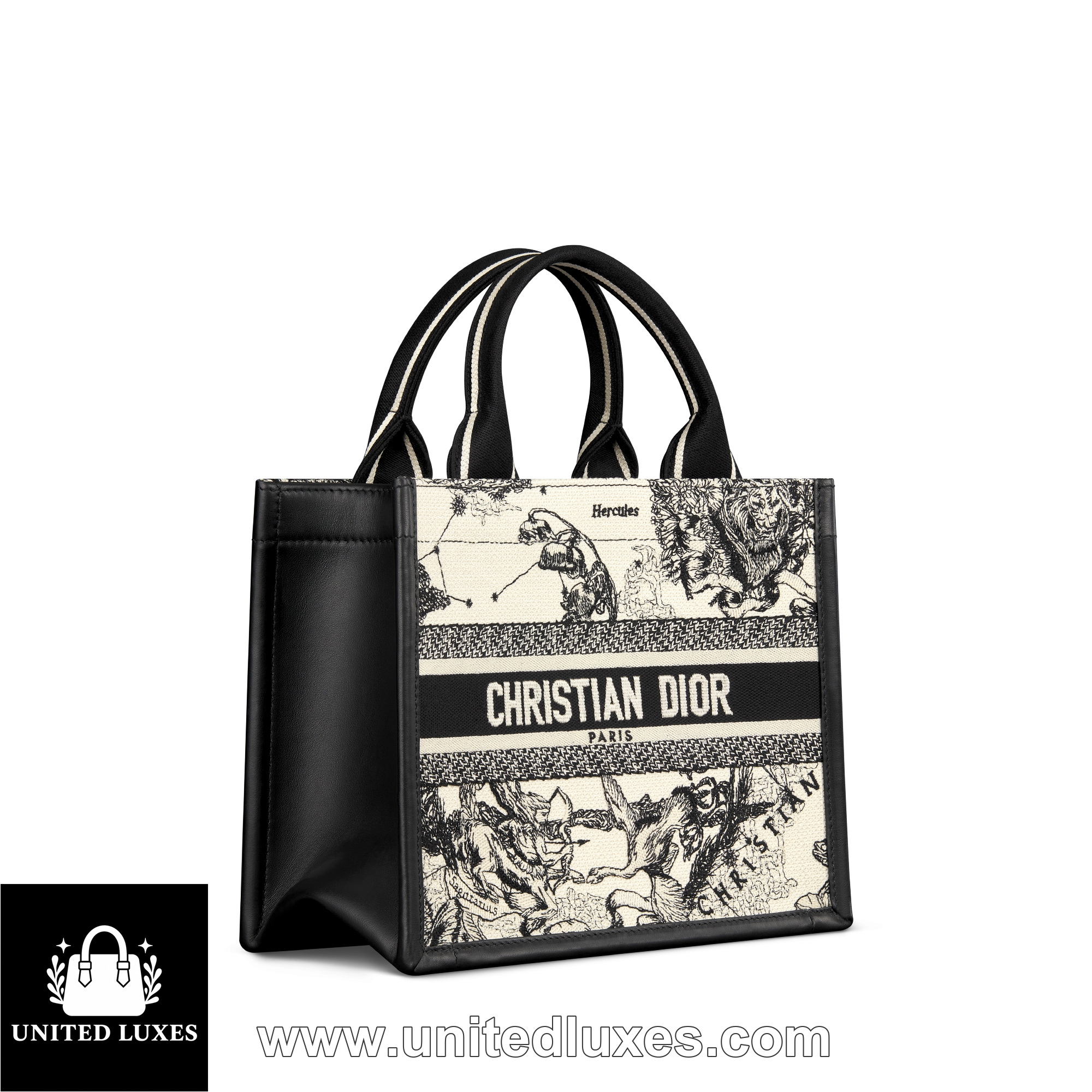 Replica Small Dior Book Tote