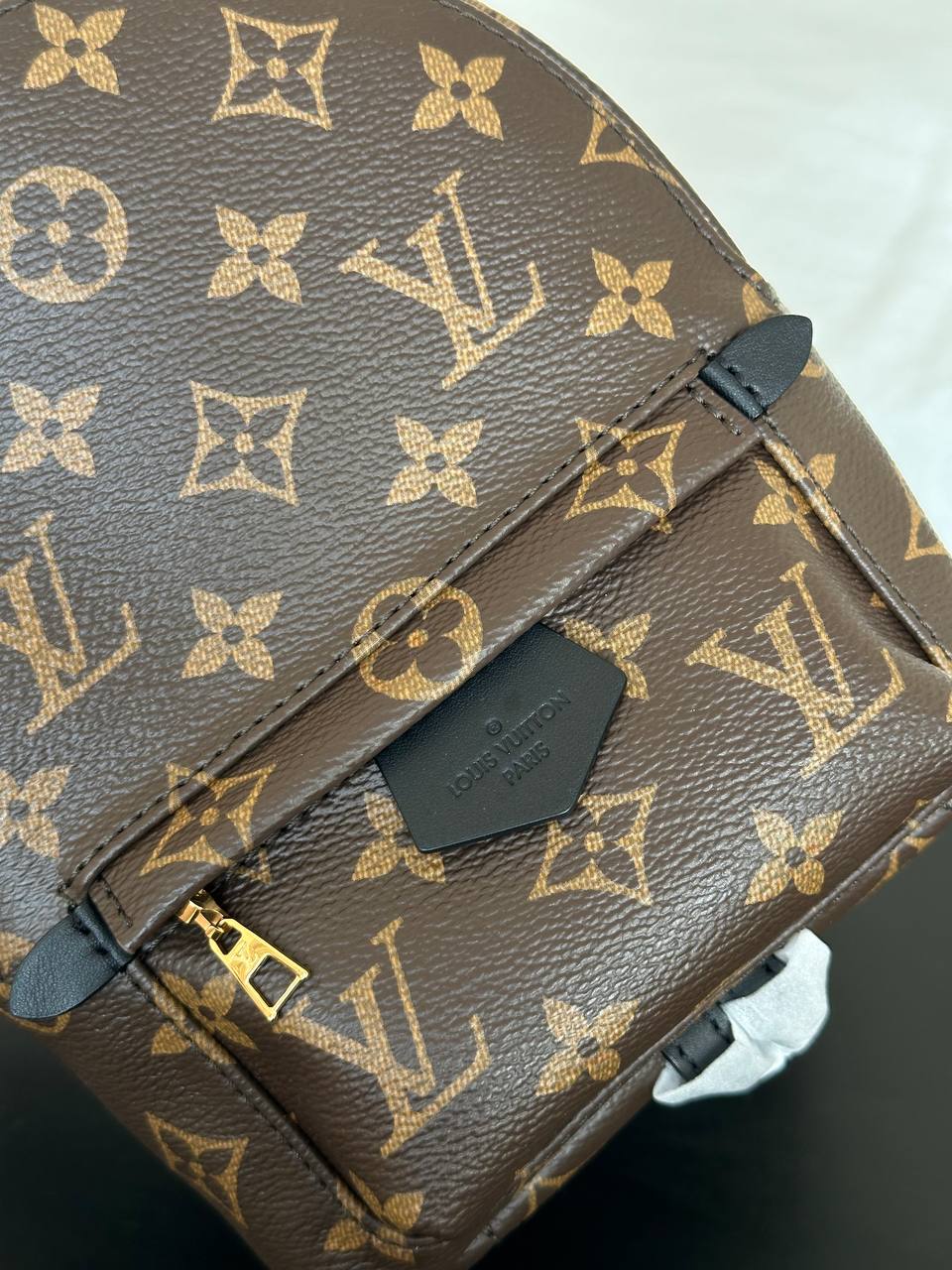 Louis Vuitton Monogram Mini Palm Springs Backpack