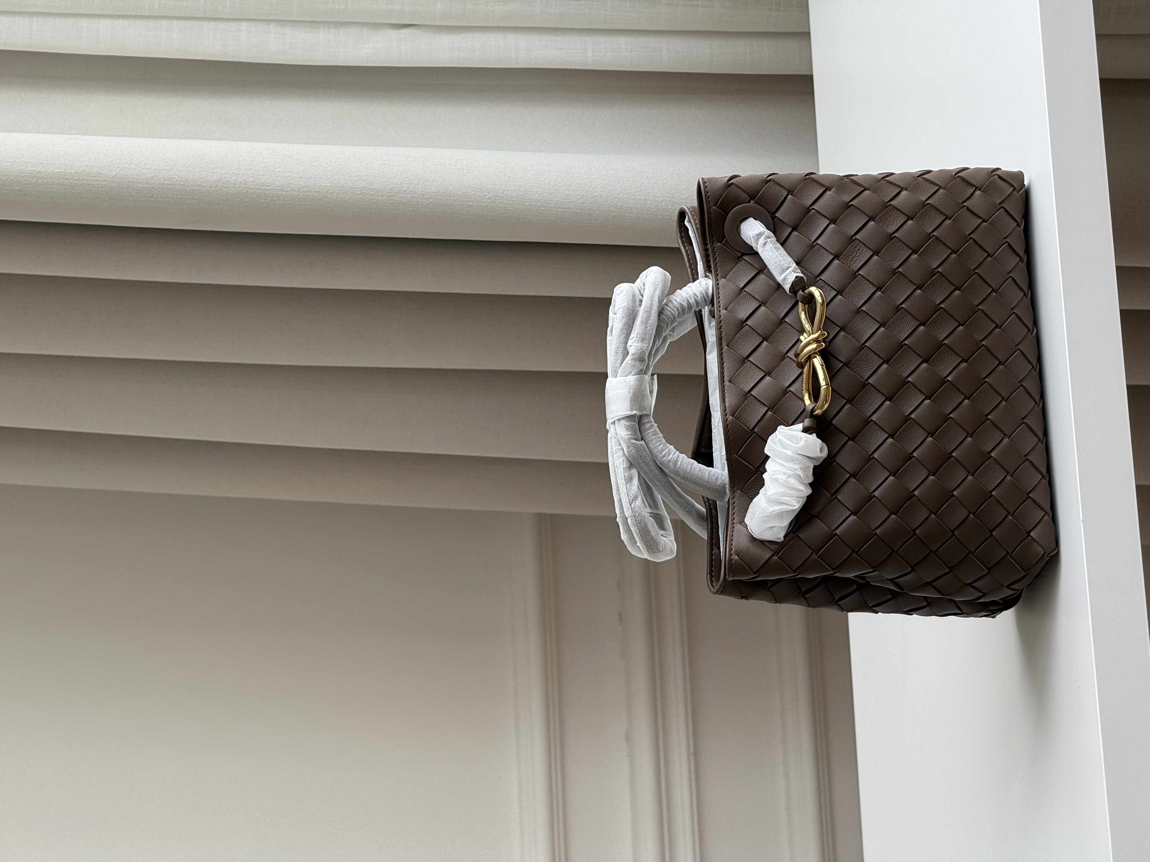 Bottega Veneta Small Andiamo Tote