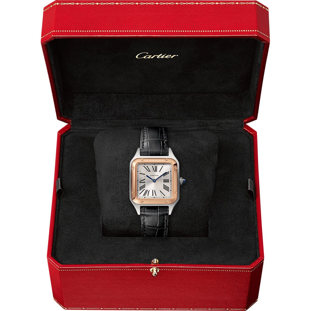Santos-Dumont watch W2SA0012【1:1 Replica】