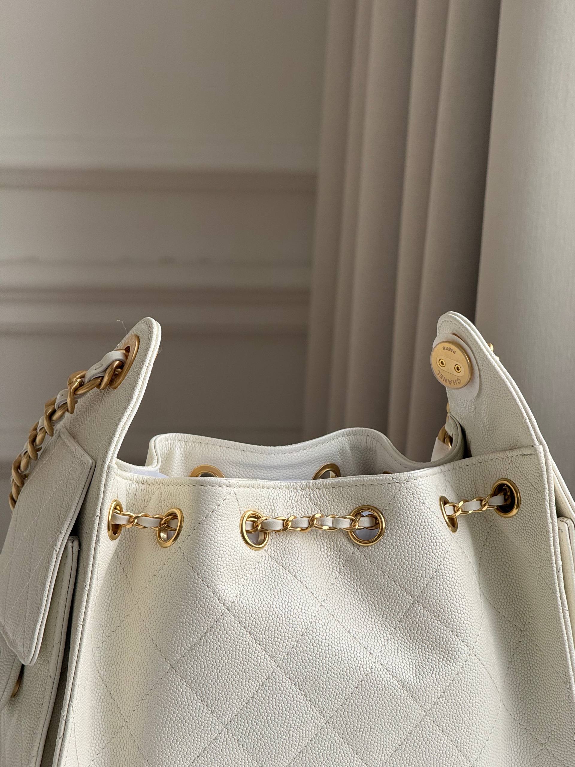 Chanel 25 Hobo Bag
