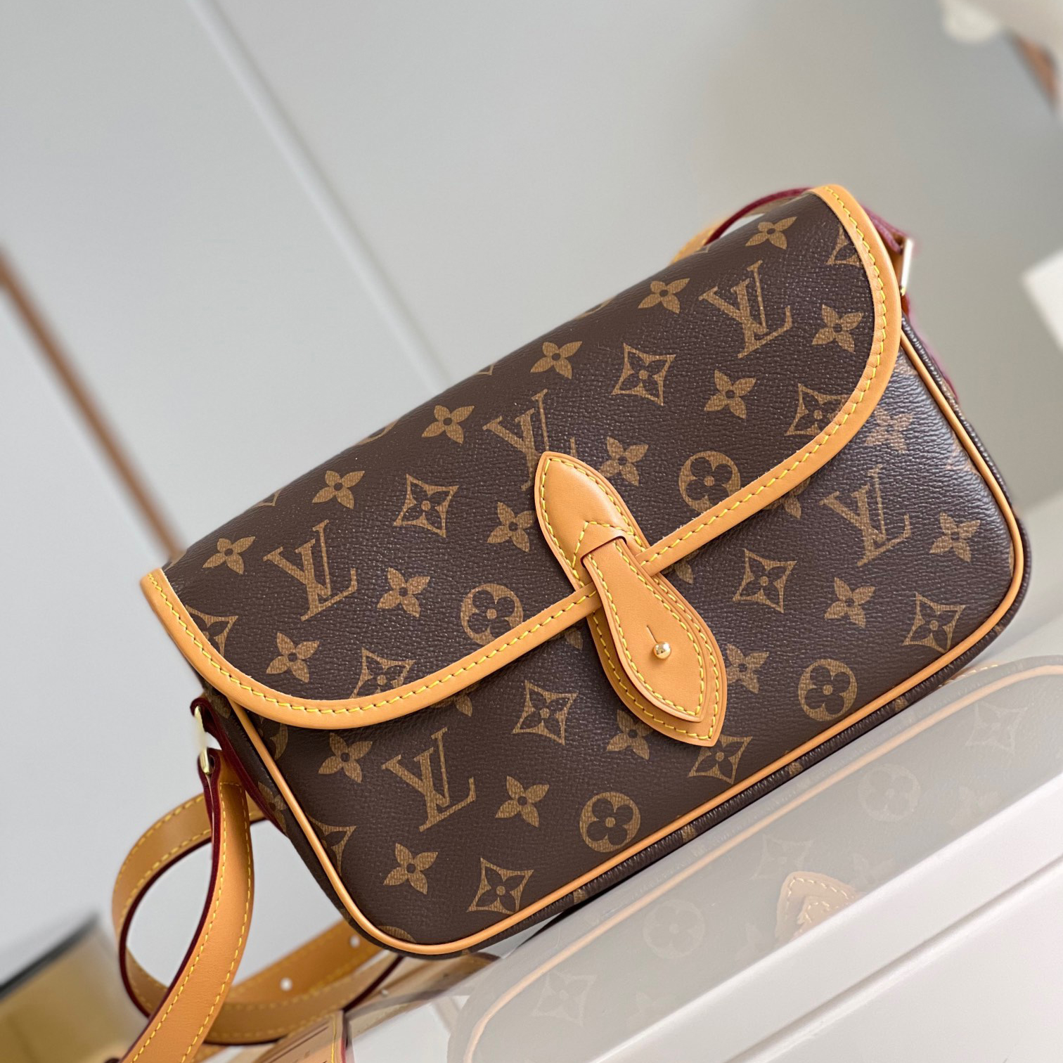 Gibeciere PM Shoulder Bag M42248