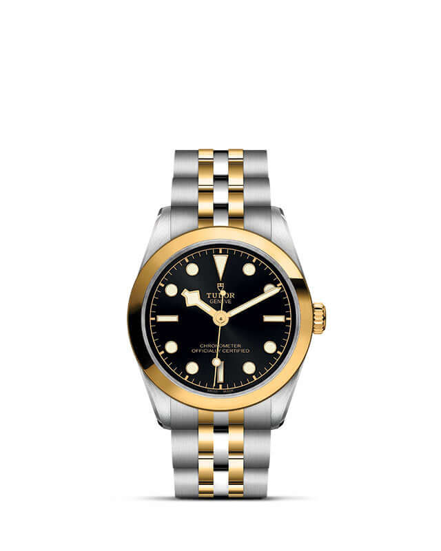Tudor Black Bay 31 S&G【1:1 Replica】