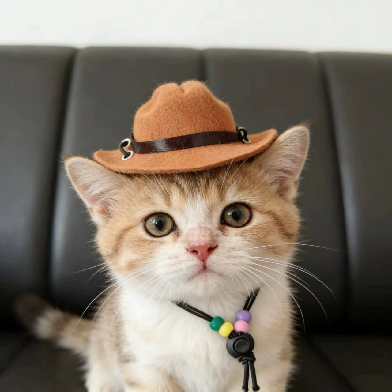 Felt Cowboy Hat Adjustable Strap Decor Accessory for Small Dogs Cats - MAISONKAIRON