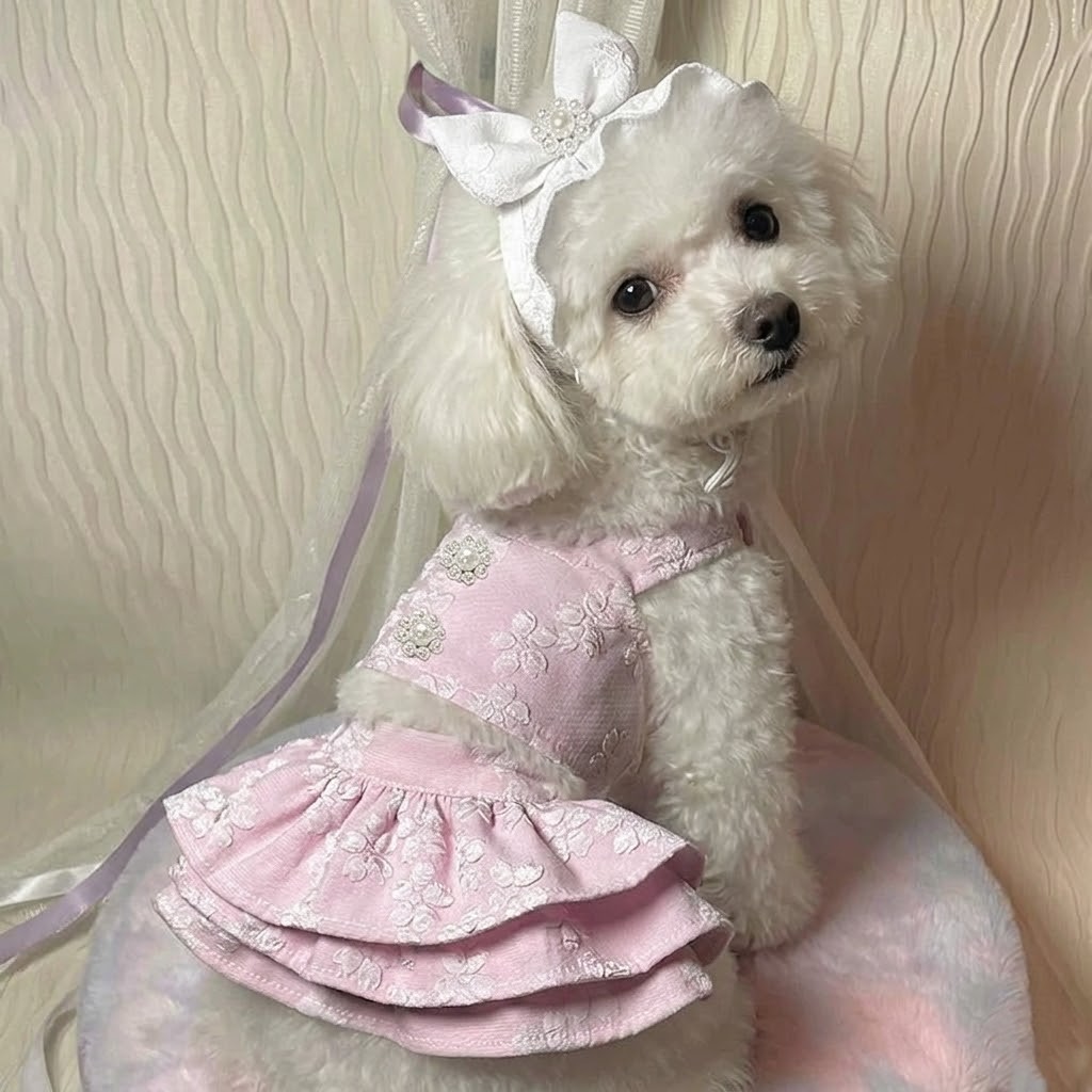 Blue&Pink Jacquard Sleeveless Dress Hat Set Pearl Ruffle Hem Outfit for Small Dogs Cats - MAISONKAIRON