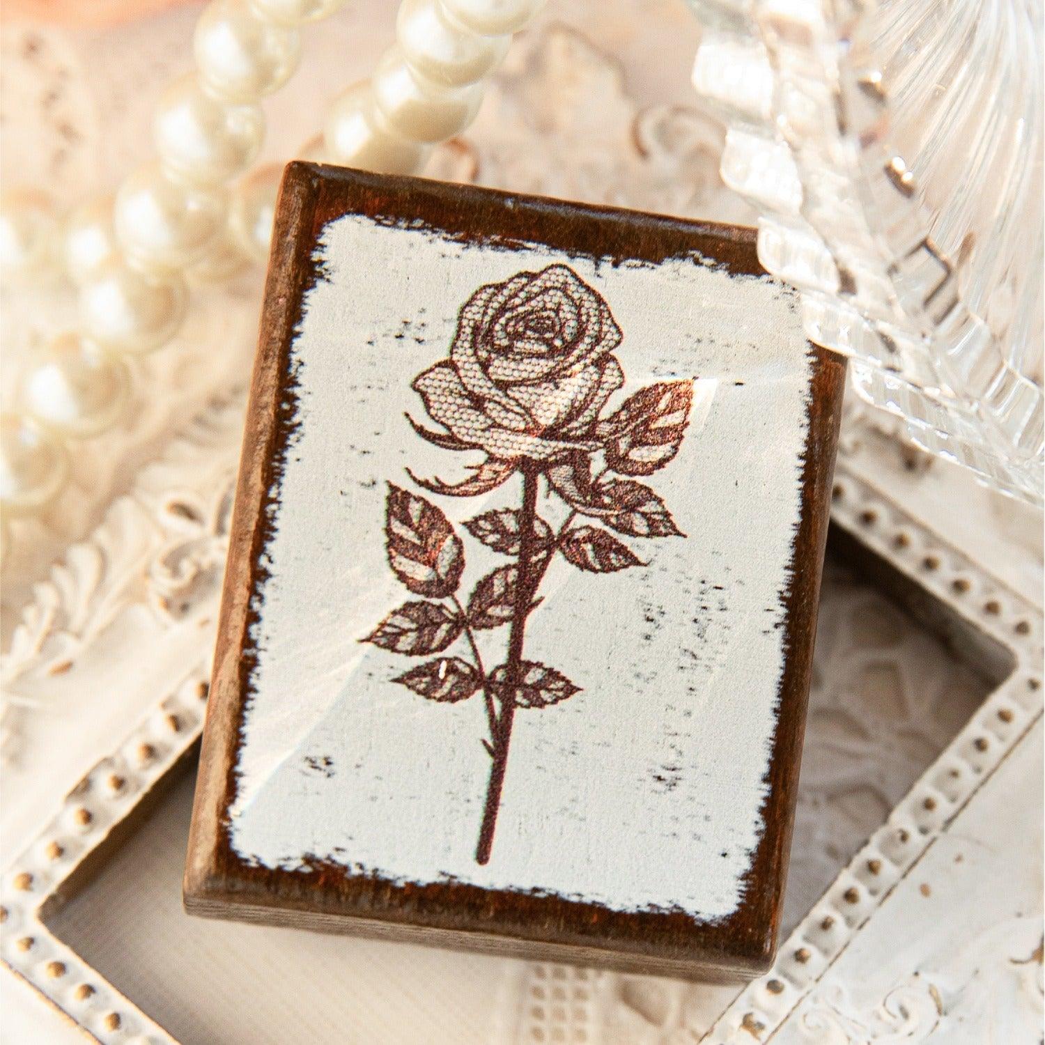 7008 Beechwood Seal Mountain Wild Fog Light Series