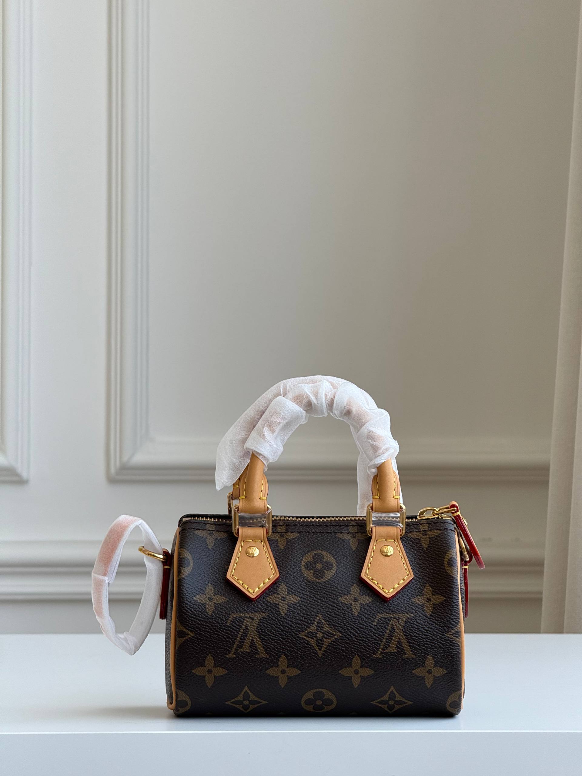 Louis Vuitton Speedy Nano