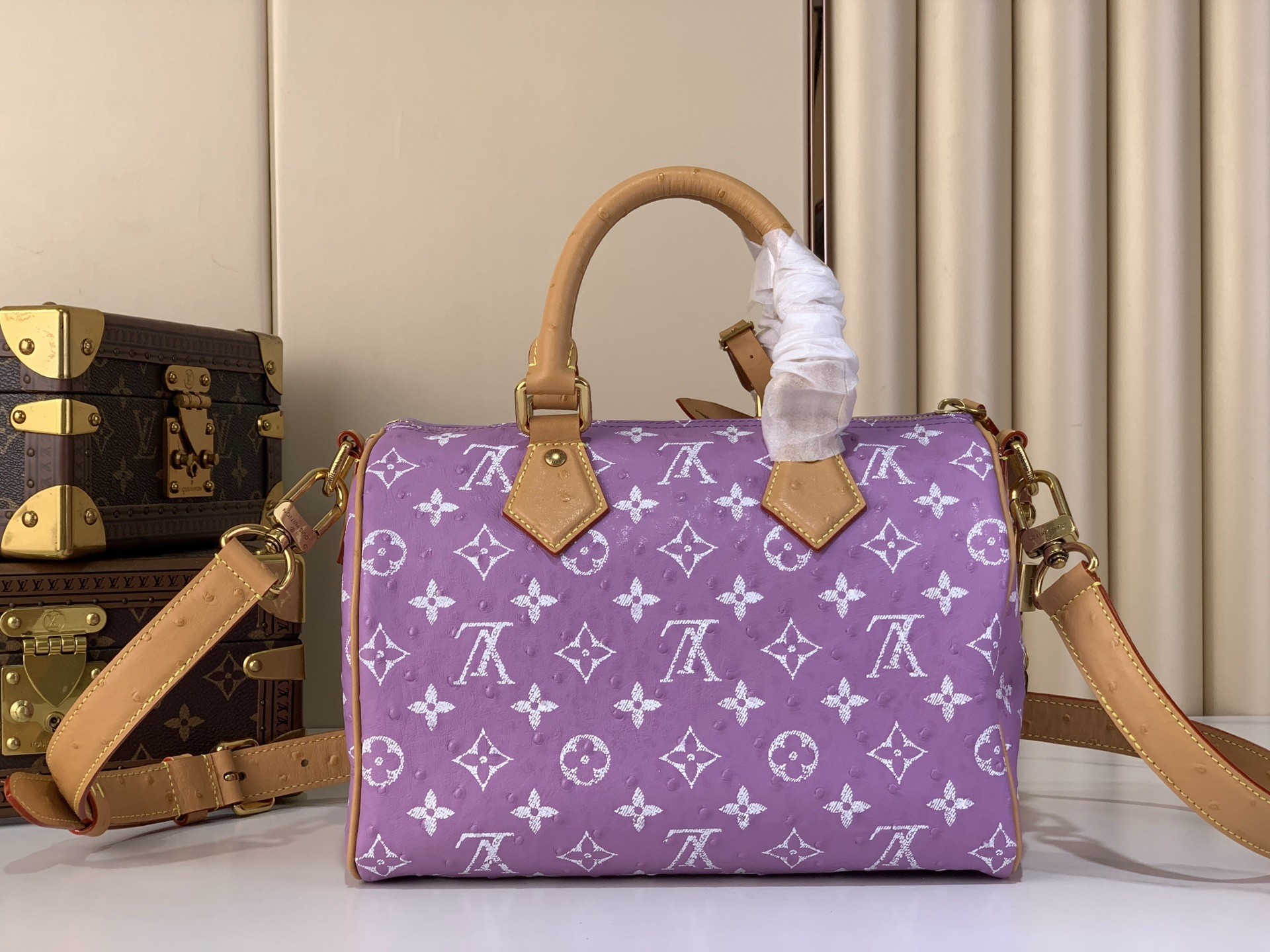 LV Speedy P9 25cm Bag