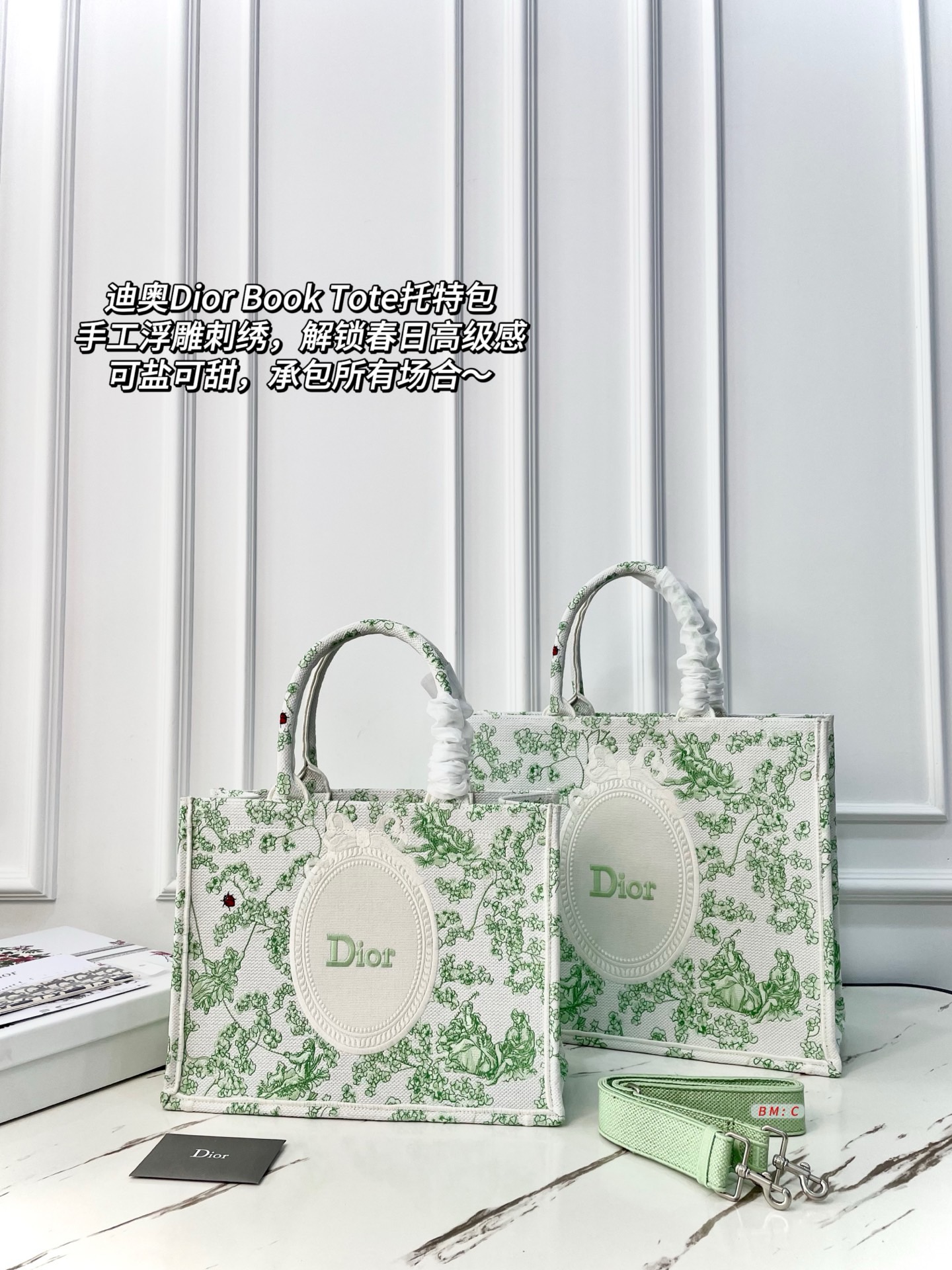 Dior Book Tote Bag