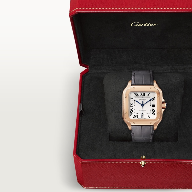 SANTOS DE CARTIER WATCH WGSA0019【1:1 Replica】