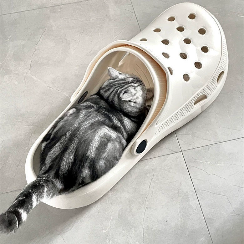 Giant Crocs Shoe Toy Pet Bed - Hilarious & Creative Crocs Style Cat/Dog House - MAISONKAIRON