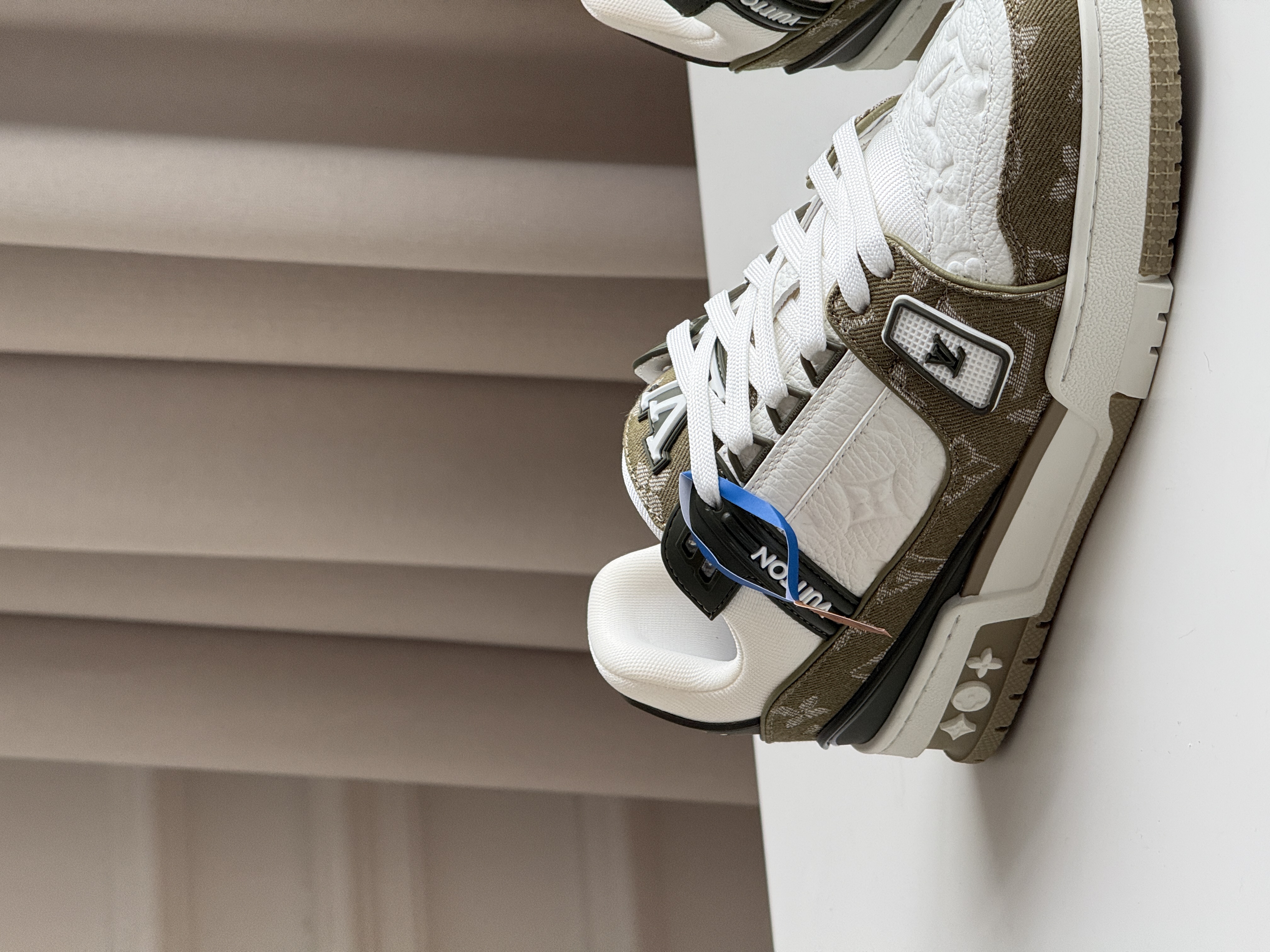 Louis Vuitton LV Trainer Low-Top Sneakers