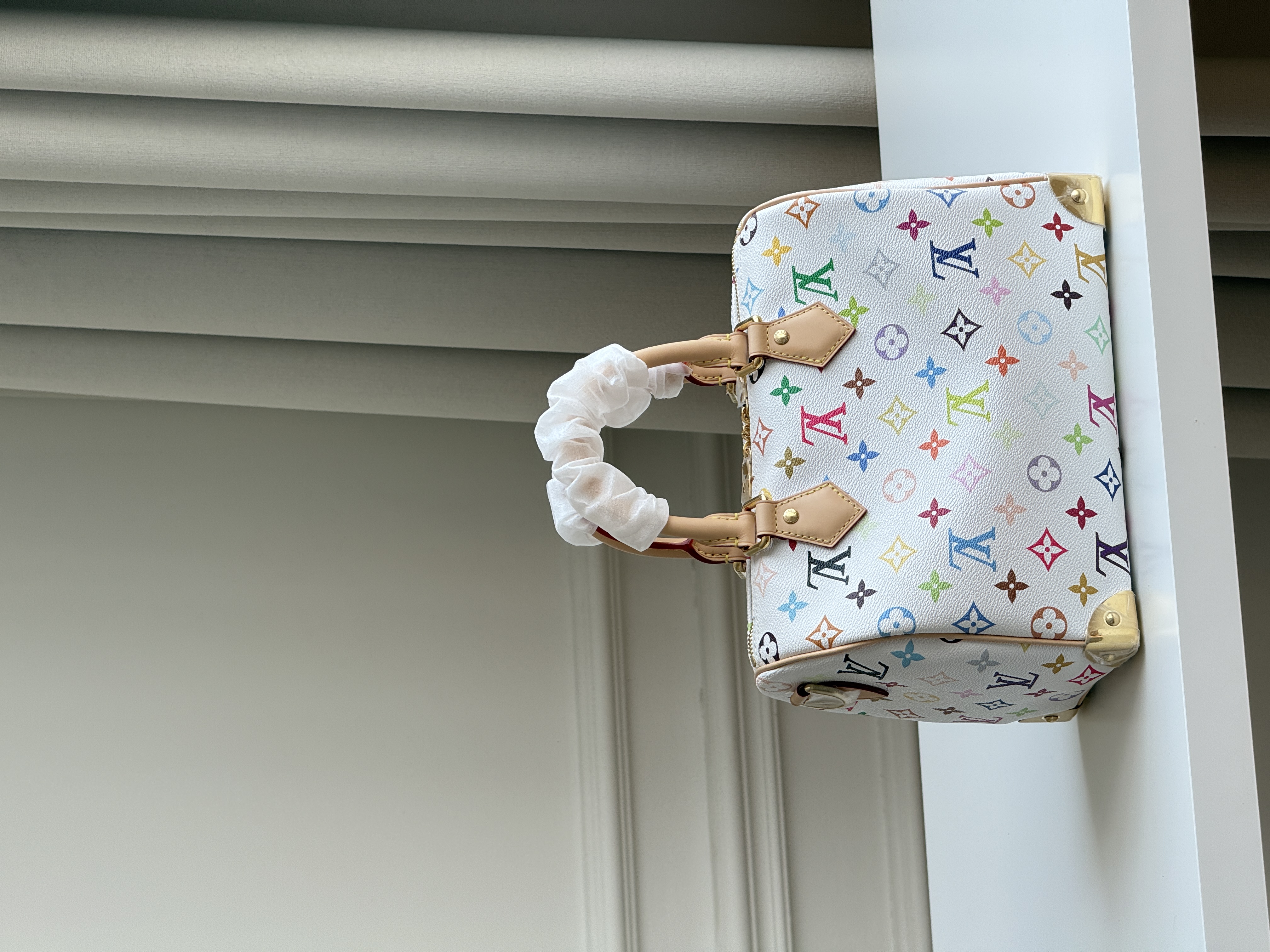 Louis Vuitton Speedy Bandoulière 25