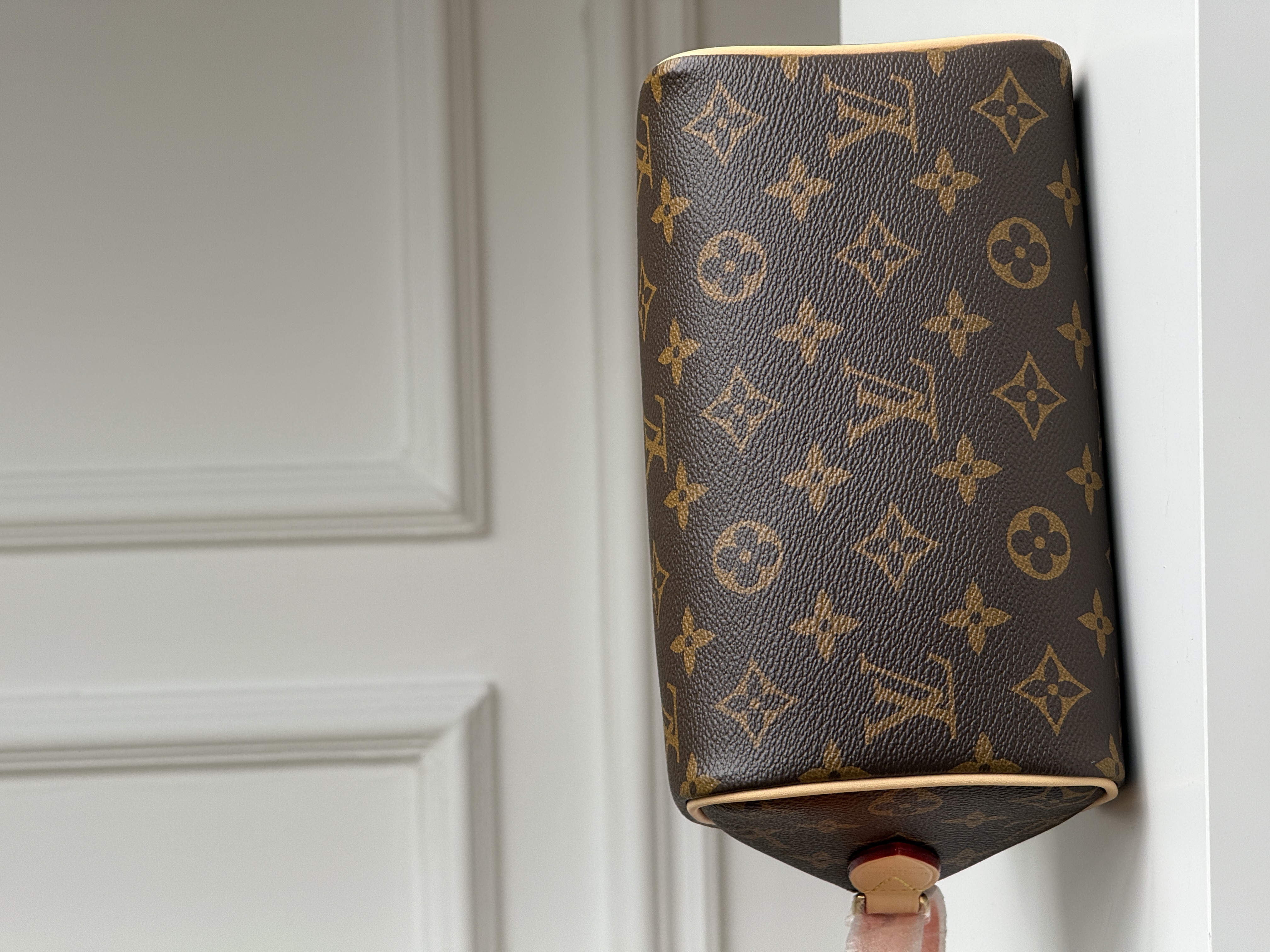 Louis Vuitton Speedy Bandoulière 20 Monogram