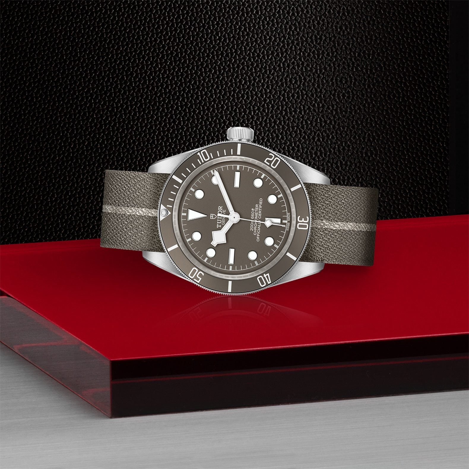 TUDOR Black Bay Fifty-Eight 925 39mm Silver【1:1 Replica】