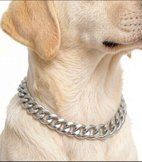 Handsome gold chain pet collar, lightweight design, no pressure on pet's neck, suitable for cats and dogs - MAISONKAIRON