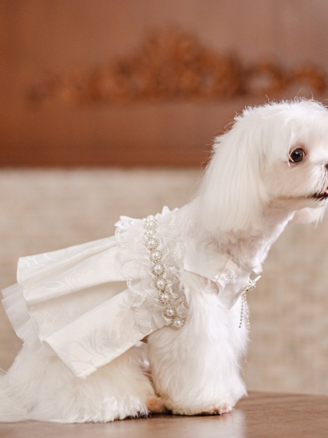 Princess White Elegant Pearl Lace Satin Wedding Dress Formal Outfit for Small Dogs Cats - MAISONKAIRON
