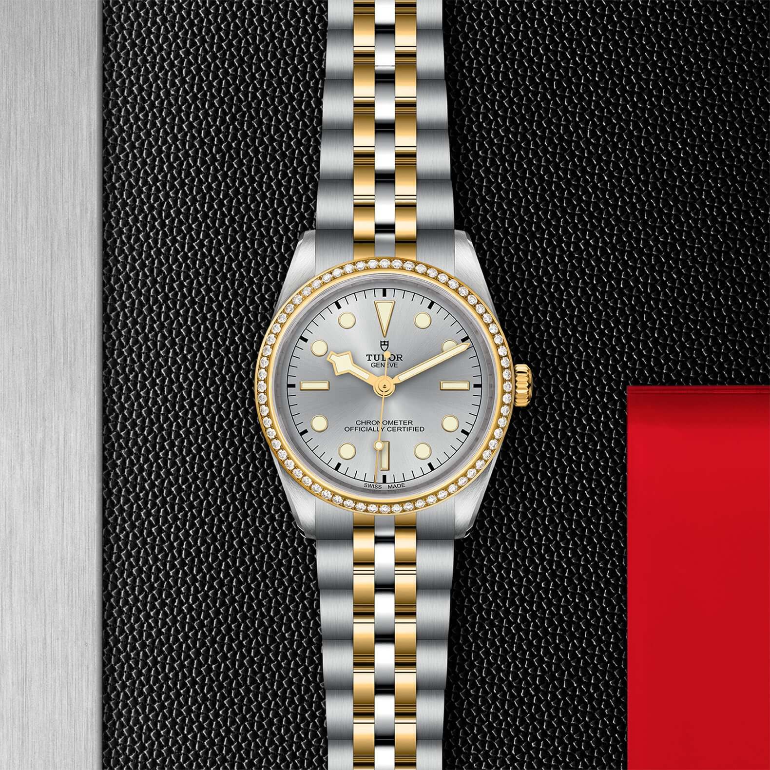 Tudor Black Bay 36 S&G【1:1 Replica】
