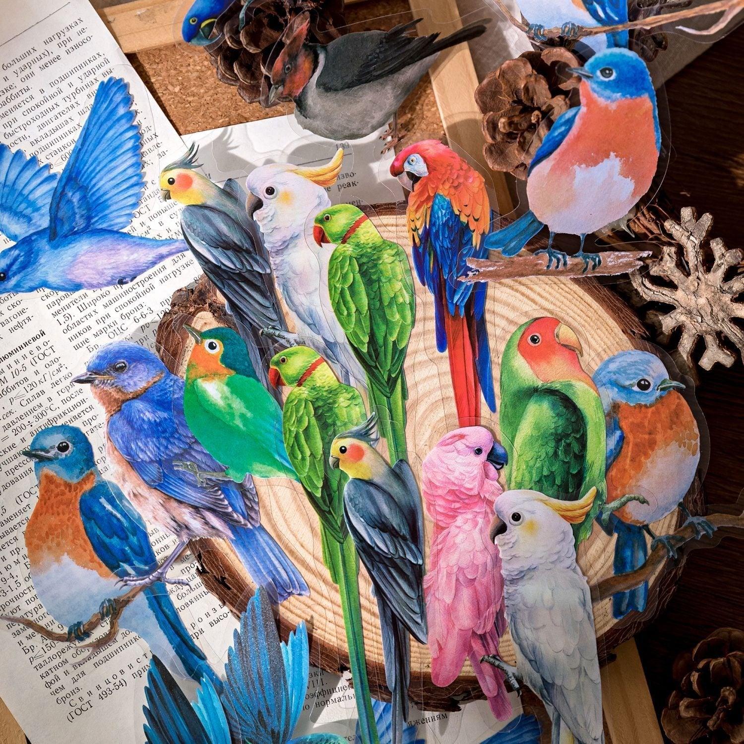 1142 Clear Sticker Pack Nature's Secret Collection