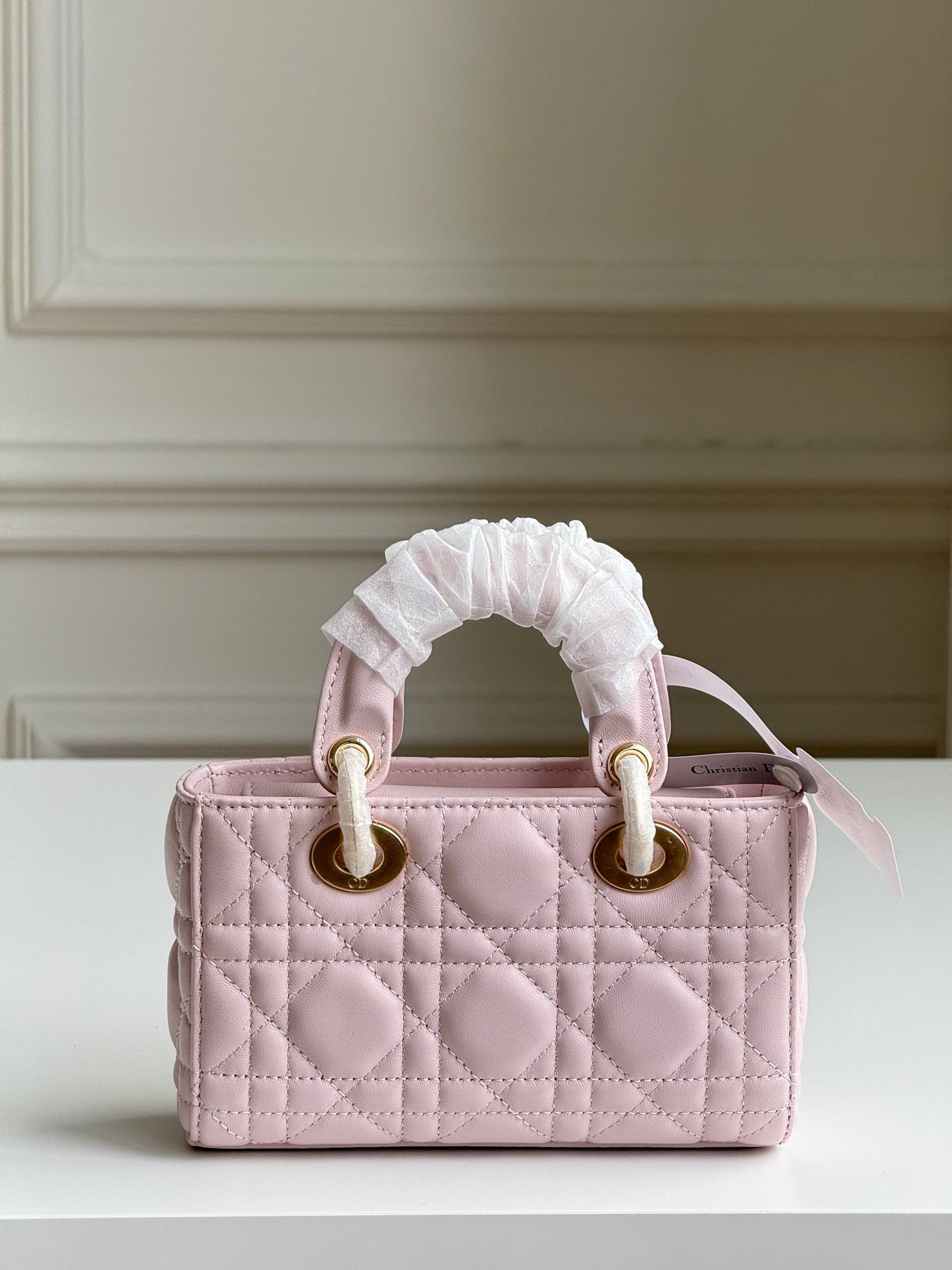 Dior Lady D-Joy Mini Bag
