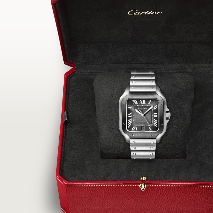 SANTOS DE CARTIER WATCH WSSA0037【1:1 Replica】