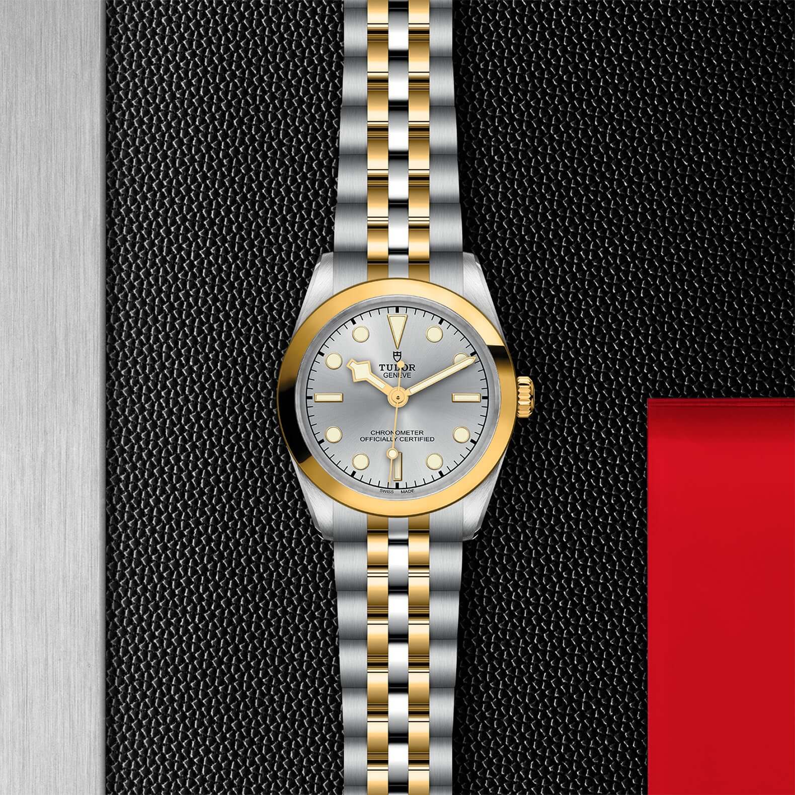 Tudor Black Bay 31 S&G【1:1 Replica】