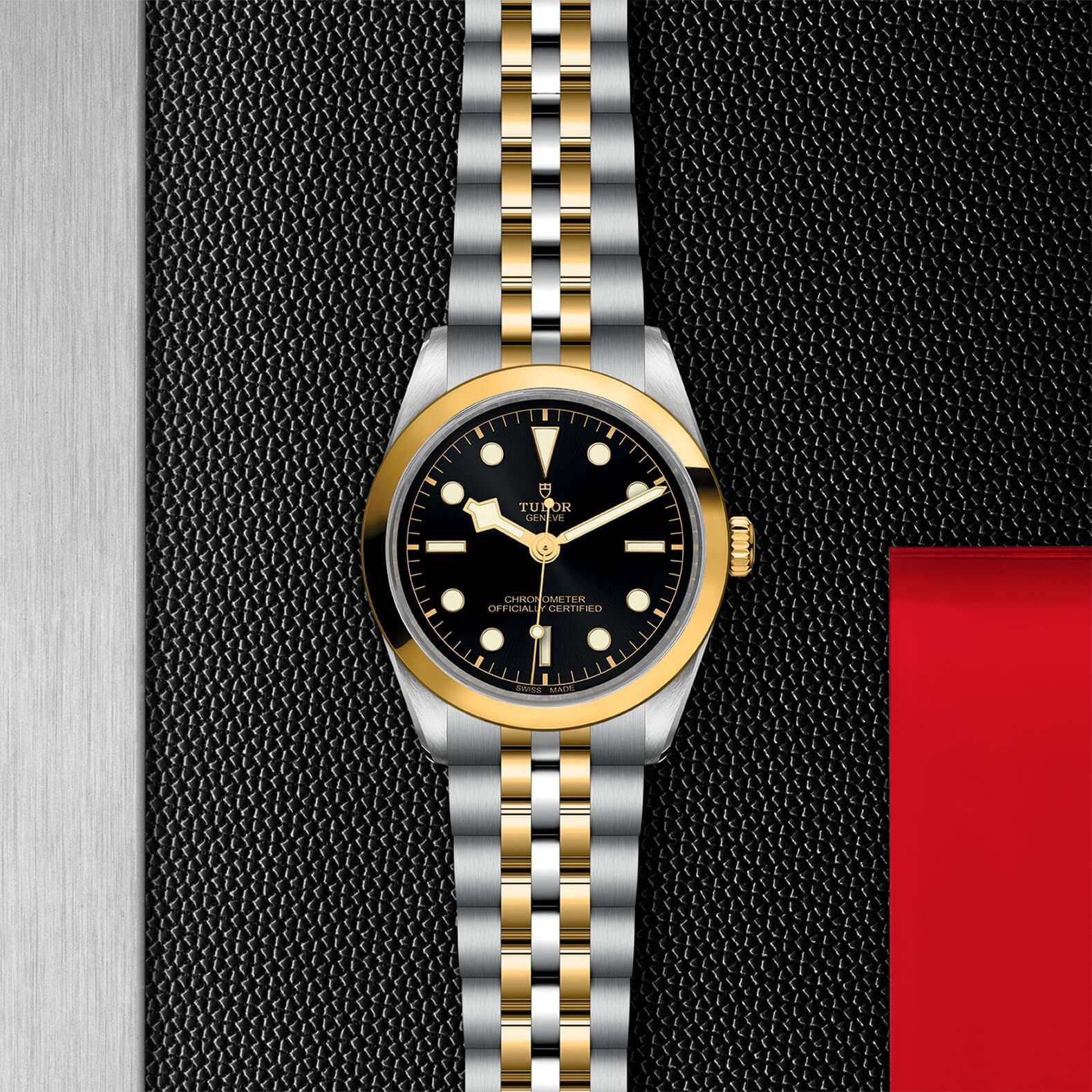 Tudor Black Bay 36 S&G【1:1 Replica】