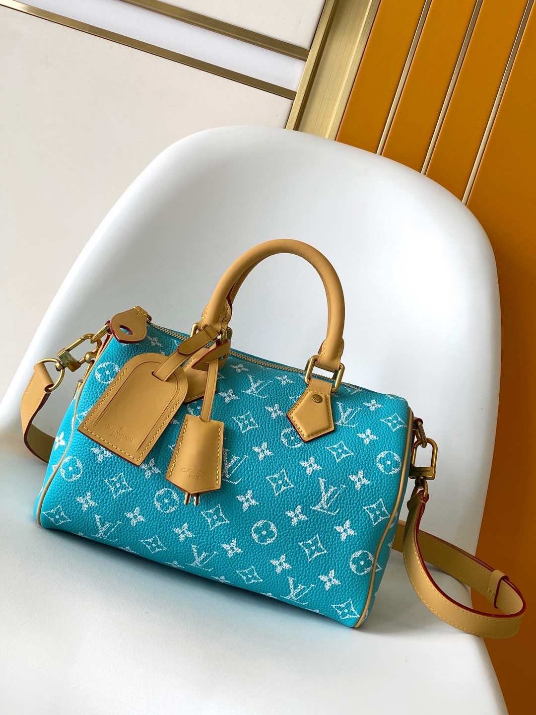 LV Speedy P9 25cm Bag