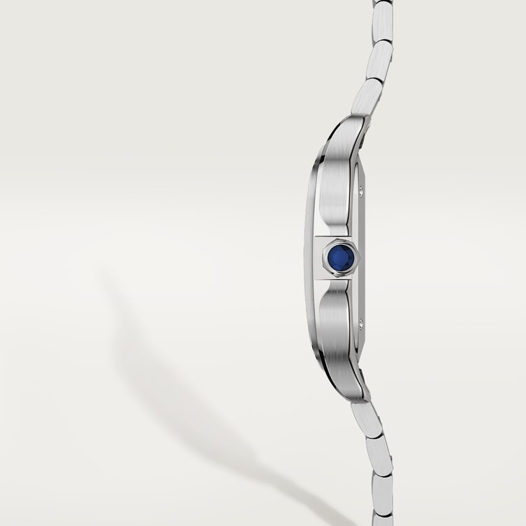 SANTOS DE CARTIER WATCH WSSA0029【1:1 Replica】