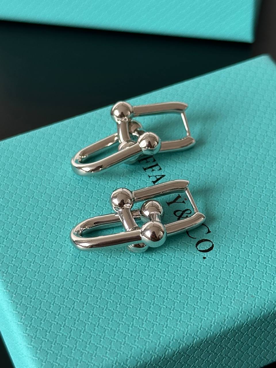 Tiffany & Co. HardWear Link Earrings in Sterling Silver