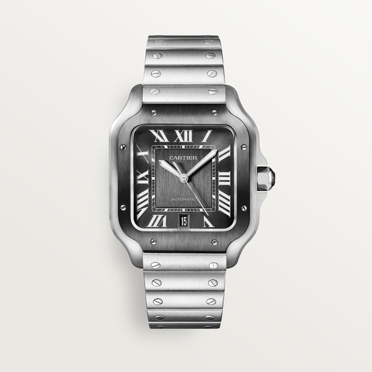 SANTOS DE CARTIER WATCH WSSA0037【1:1 Replica】