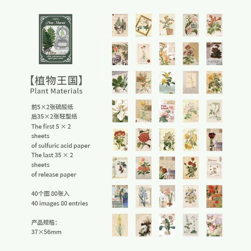 2132 Plain Paper Plant Kingdom Series