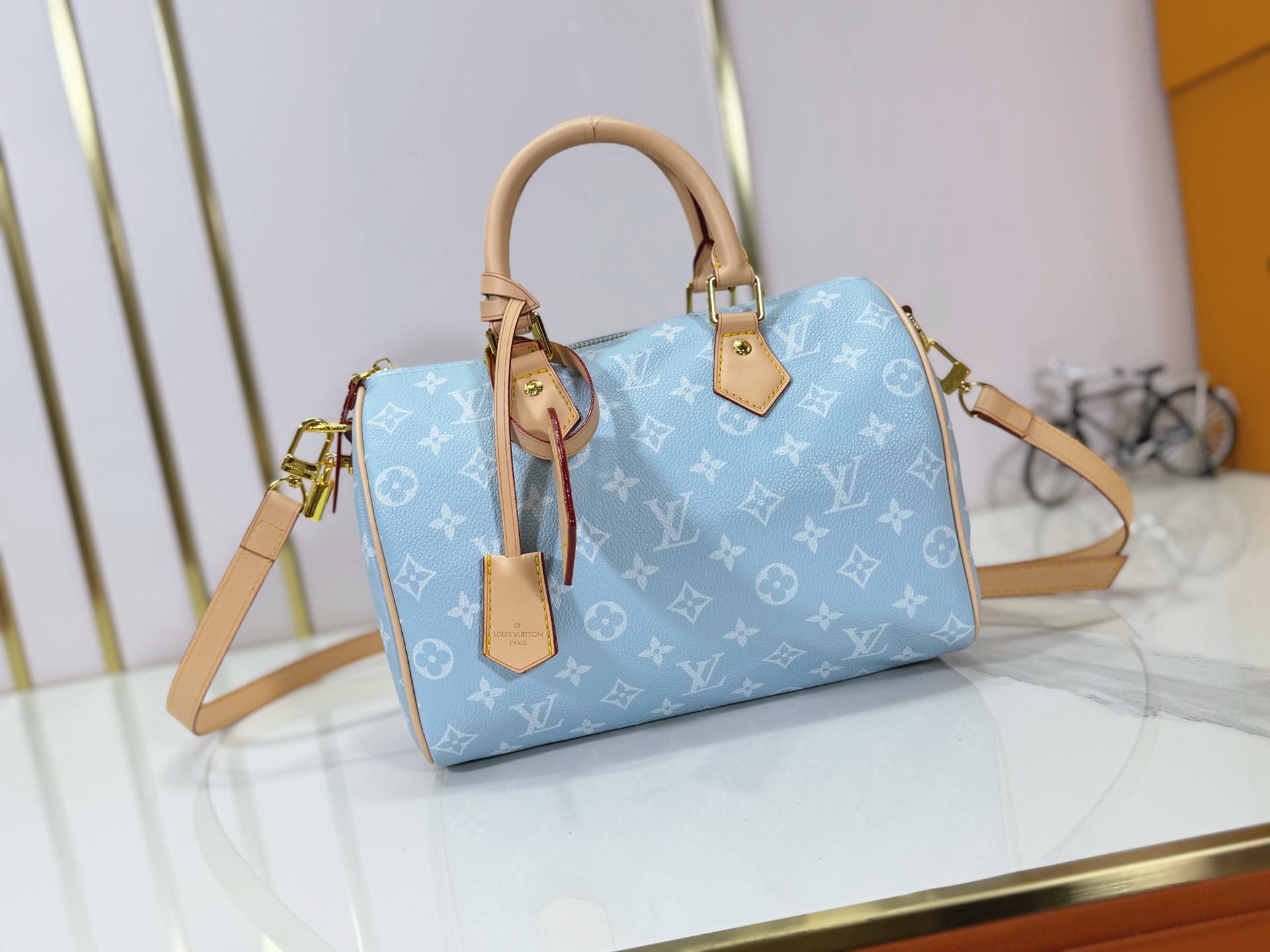LV Speedy P9 25cm Bag
