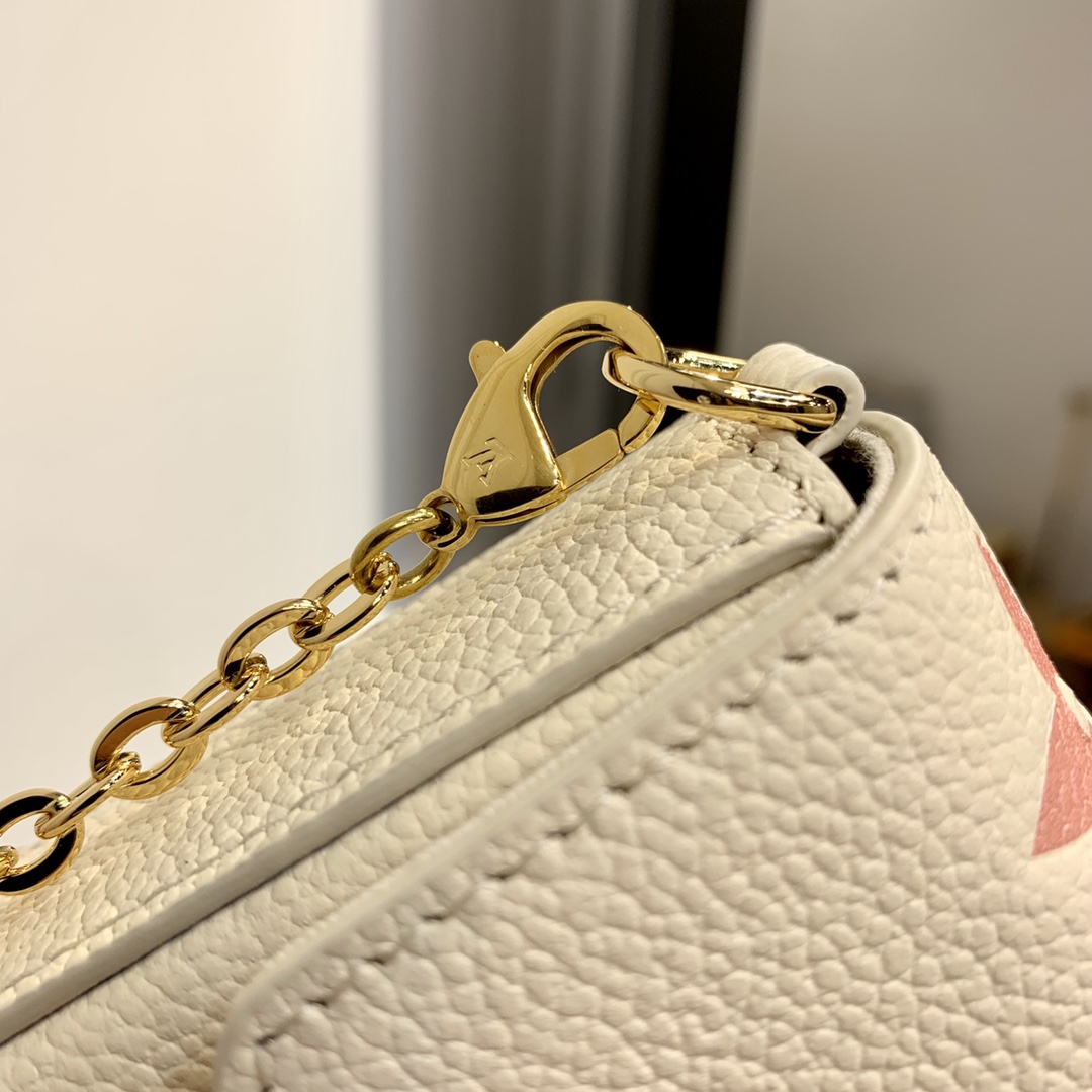 Pochette Metis M45573