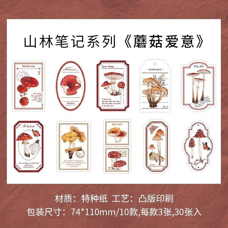 2129 Specialty Paper Sticky Notes Mountain Notes Series