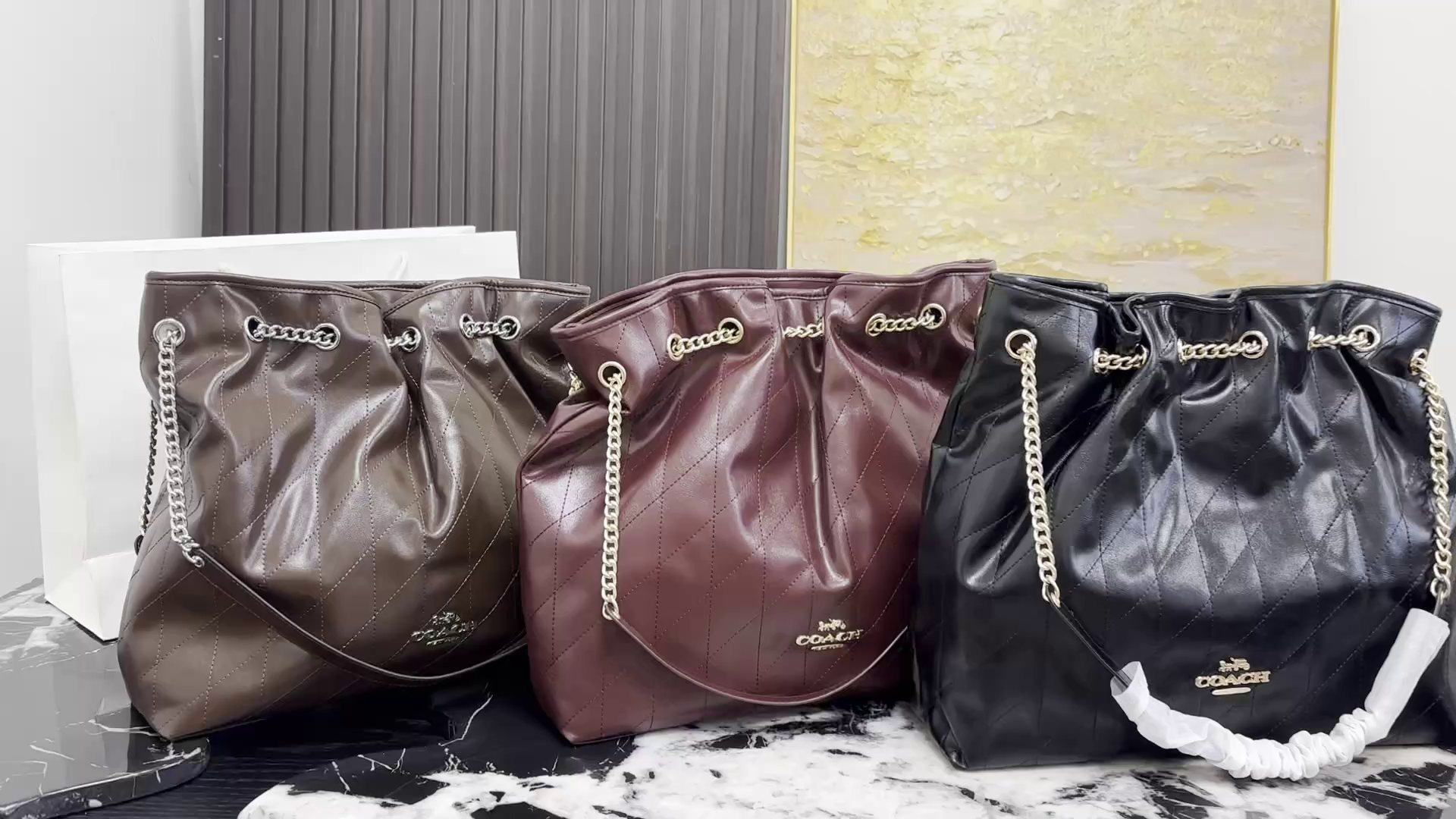 Coach Evelyn Chain Lucky Bag