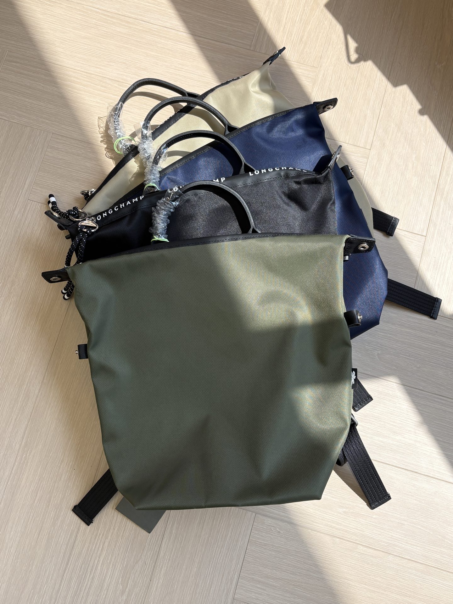 Women Handbag 10166HSR Le Pliage Energy L Backpack