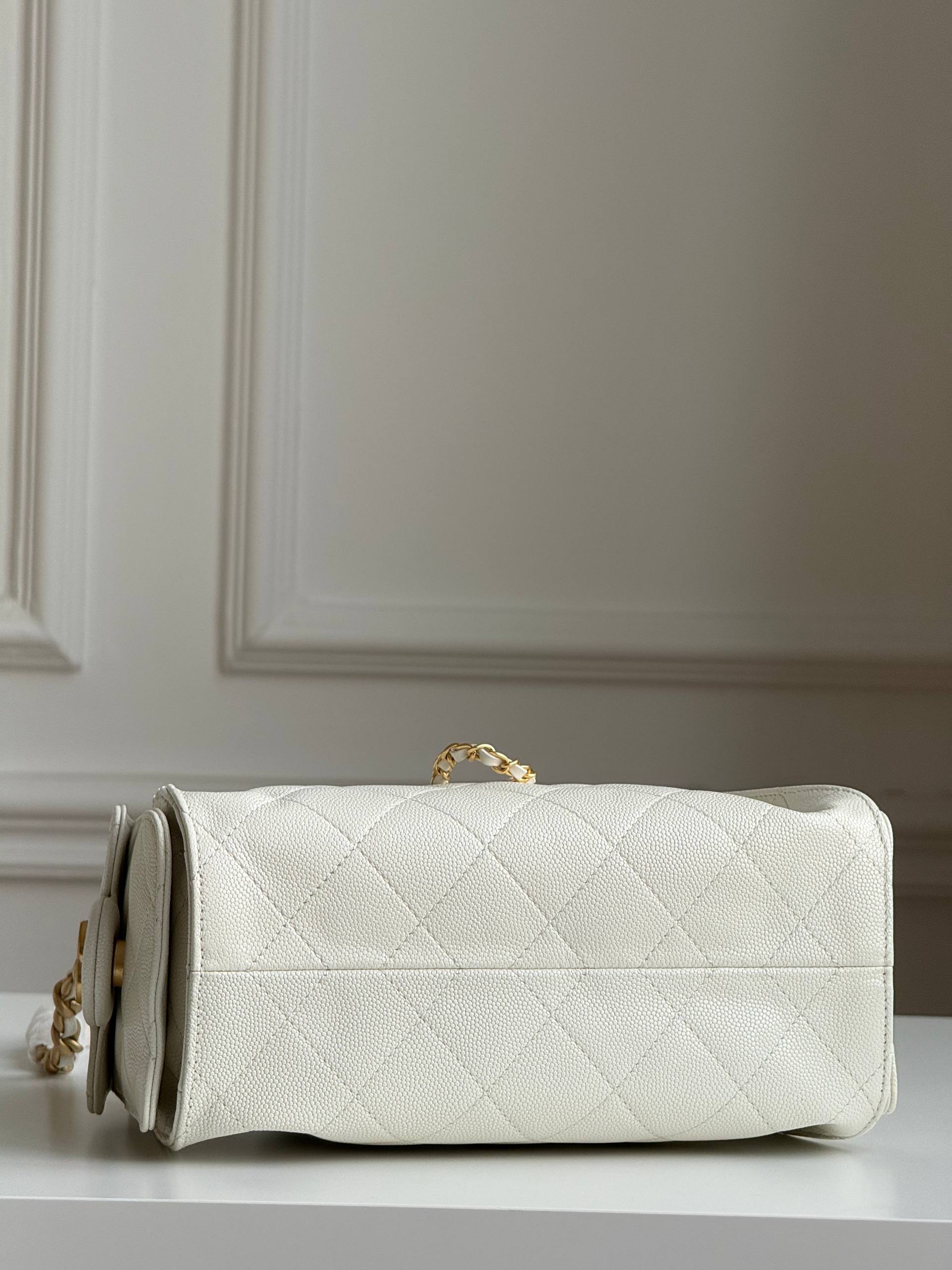 Chanel 25 Hobo Bag