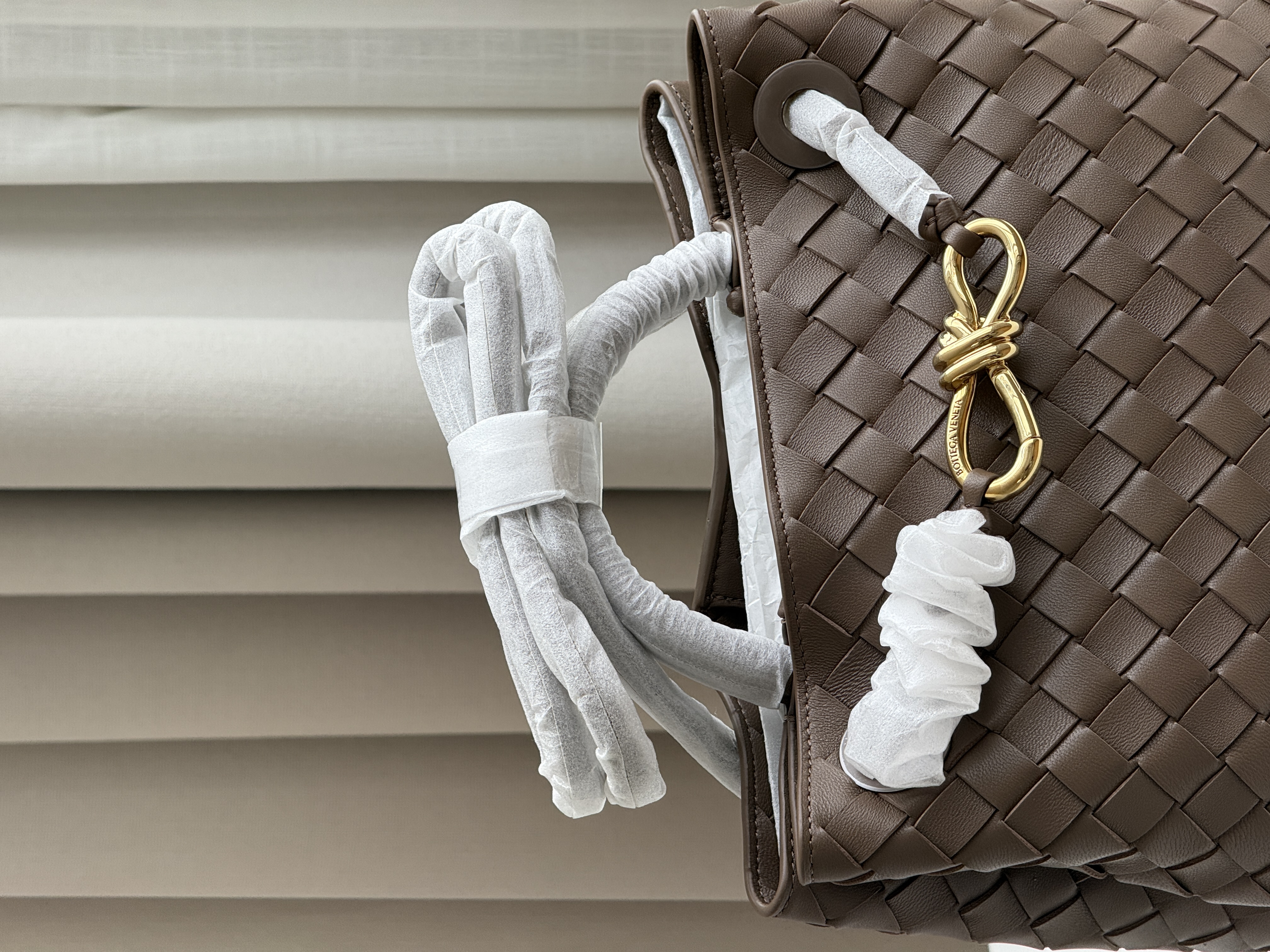 Bottega Veneta Small Andiamo Tote