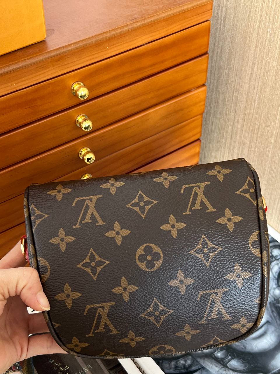 Louis Vuitton Monogram Mini Double Zip Vanity Case Waist Bag